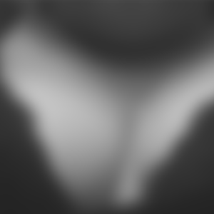 rencontre-Cougar-Bordeaux