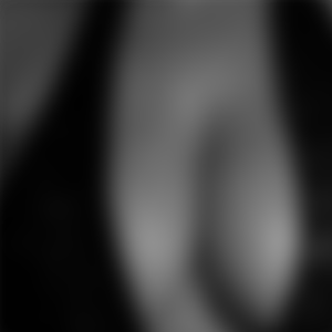 rencontre-Cougar-Brest