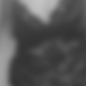 rencontre-Cougar-Dijon