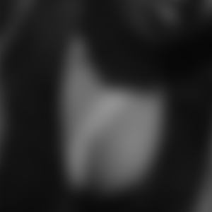 rencontre-Cougar-Bron