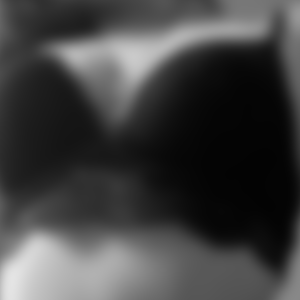 rencontre-Cougar-Saint-Brieuc