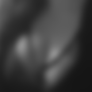 rencontre-Cougar-Vitry-sur-Seine