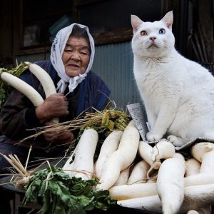 Pour de vrai Linh - rencontre-Asiatique-Rennes